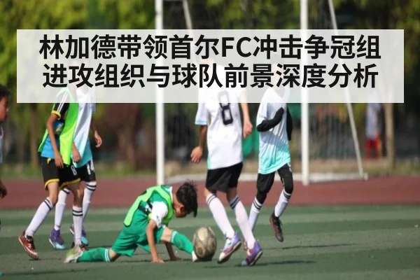 林加德带领首尔FC冲击争冠组 进攻组织与球队前景深度分析